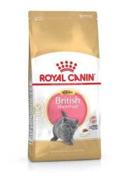 ROYAL CANIN British Shorthair Kitten 0,4kg