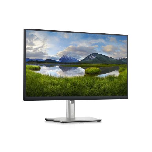 MONITOR DELL LED 24\ P2423D