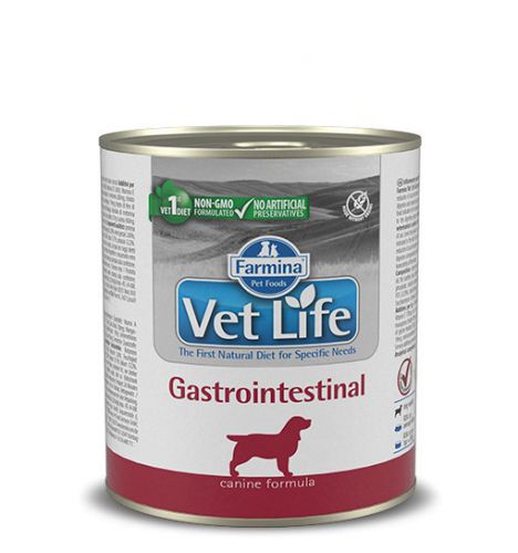 FARMINA Vet Life Gastrointestinal - mokra karma dla dorosłych psów 300g