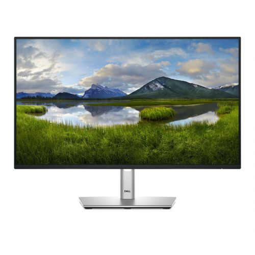 MONITOR DELL LED 24\ P2425HE