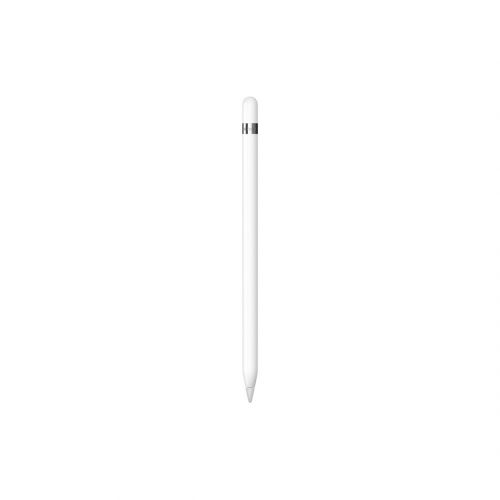 Apple Pencil 1st Gen. + USB-C Adapter (2022)
