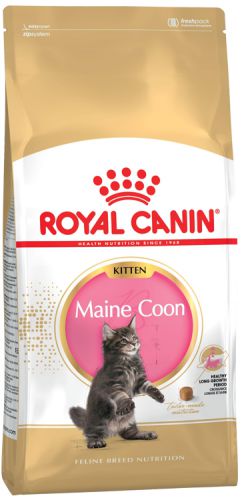 Karma Royal Canin FBN Kitten Maine Coon 36 2 kg