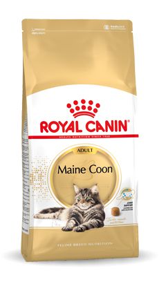 Karma Royal Canin FBN Maine Coon (10 kg )