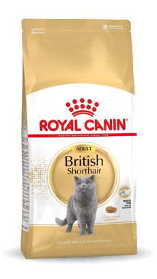 Karma Royal Canin FBN British Shorth (10 kg )