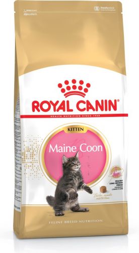 Karma Royal Canin FBN Kitten Maine Coon (4 kg )